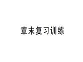 初中物理新沪科版八年级全册第三章 光的世界复习训练作业课件（2024秋）