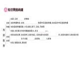 初中物理新沪科版八年级全册第三章 光的世界复习训练作业课件（2024秋）