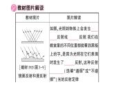 初中物理新沪科版八年级全册第三章 光的世界复习训练作业课件（2024秋）