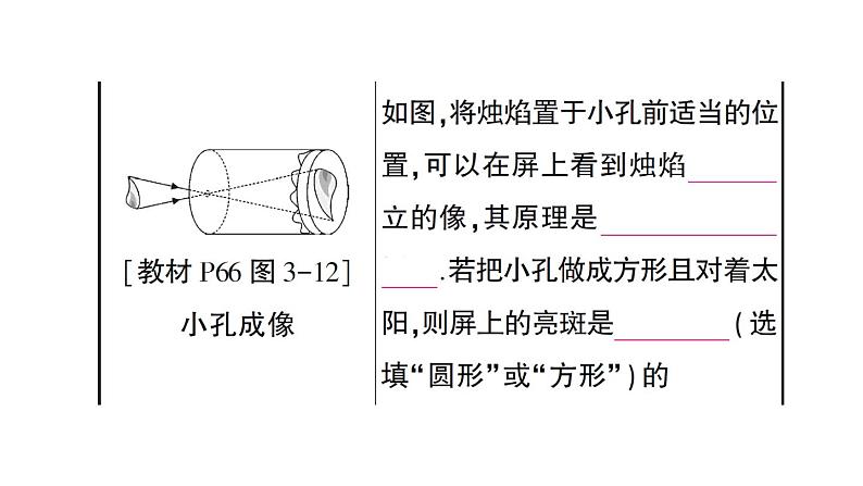 初中物理新沪科版八年级全册第三章 光的世界复习训练作业课件（2024秋）第5页