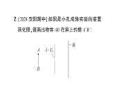 初中物理新沪科版八年级全册第三章专题五 光学作图作业课件（2024秋）