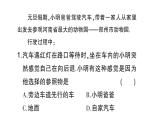初中物理新沪科版八年级全册大单元综合（一） 机械运动与声作业课件（2024秋）