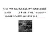 初中物理新沪科版八年级全册期末综合检测卷（二）课堂作业课件2024秋