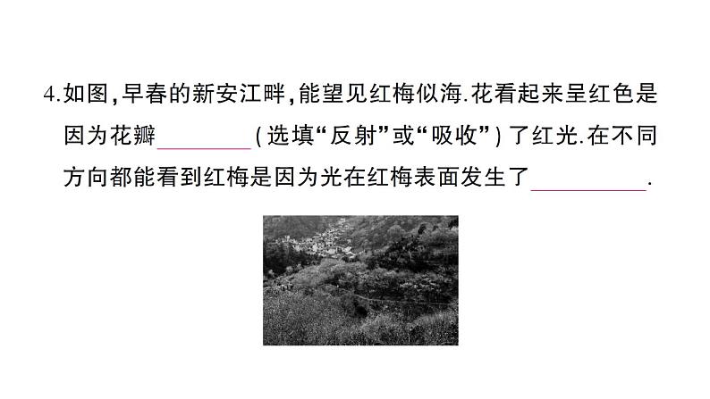 初中物理新沪科版八年级全册期末综合检测卷（二）课堂作业课件2024秋第4页