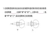 初中物理新沪科版八年级全册期末综合检测卷（二）课堂作业课件2024秋