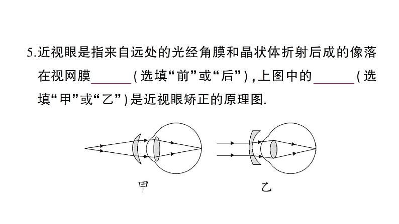 初中物理新沪科版八年级全册期末综合检测卷（二）课堂作业课件2024秋第5页