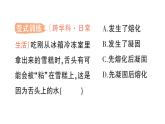 初中物理新北師大版八年級(jí)上冊(cè)第一章第二節(jié) 熔化和凝固作業(yè)課件2024秋