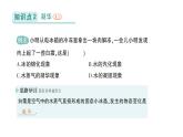 初中物理新北師大版八年級(jí)上冊(cè)第一章第四節(jié) 升華和凝華作業(yè)課件2024秋