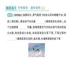 初中物理新北師大版八年級(jí)上冊(cè)第一章第四節(jié) 升華和凝華作業(yè)課件2024秋