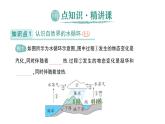 初中物理新北师大版八年级上册第一章第五节 设计海水淡化装置作业课件2024秋