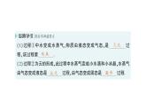 初中物理新北师大版八年级上册第一章第五节 设计海水淡化装置作业课件2024秋