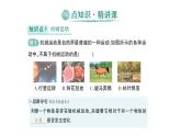 初中物理新北師大版八年級上冊第二章第一節(jié) 運(yùn)動與靜止作業(yè)課件2024秋