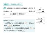 初中物理新北师大版八年级上册第二章第三节 比较物体运动的快慢作业课件2024秋