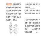 初中物理新北師大版八年級(jí)上冊(cè)第二章第五節(jié) 平均速度的測(cè)量作業(yè)課件2024秋