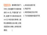 初中物理新北师大版八年级上册第三章第二节 声音的特性作业课件2024秋