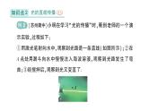 初中物理新北师大版八年级上册第四章第一节 光的传播作业课件2024秋