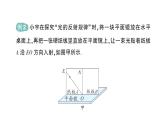 初中物理新北師大版八年級(jí)上冊(cè)第四章第二節(jié) 光的反射作業(yè)課件2024秋