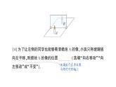 初中物理新北师大版八年级上册第四章第三节 平面镜成像的特点作业课件2024秋