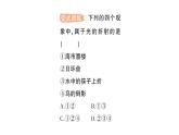 初中物理新北师大版八年级上册第四章第四节 光的折射作业课件2024秋