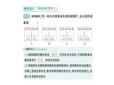 初中物理新北师大版八年级上册第四章第五节 设计舞台灯光秀作业课件2024秋