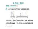 初中物理新北师大版八年级上册第五章第二节 凸透镜成像的规律作业课件2024秋