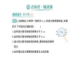 初中物理新北师大版八年级上册第五章第三节 生活中的透镜作业课件2024秋
