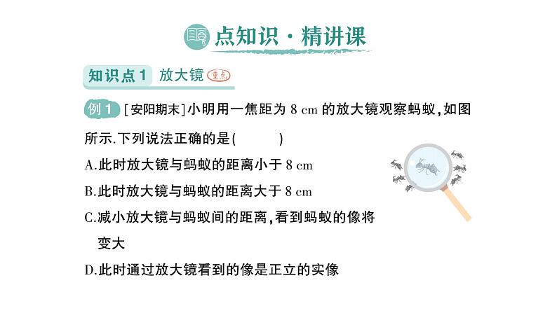 初中物理新北师大版八年级上册第五章第三节 生活中的透镜作业课件2024秋第2页