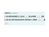 初中物理新北师大版八年级上册第五章第三节 生活中的透镜作业课件2024秋