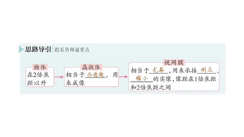 初中物理新北师大版八年级上册第五章第四节 爱眼宣传公益行作业课件2024秋第3页