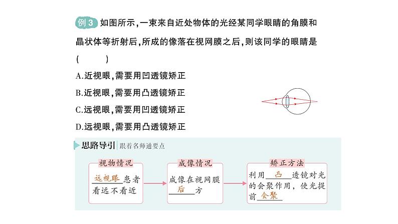 初中物理新北师大版八年级上册第五章第四节 爱眼宣传公益行作业课件2024秋第6页