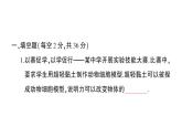 初中物理新滬科版八年級(jí)全冊(cè)第六章 熟悉而陌生的力綜合訓(xùn)練課堂作業(yè)課件2024秋