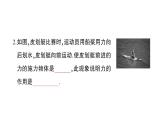 初中物理新滬科版八年級(jí)全冊(cè)第六章 熟悉而陌生的力綜合訓(xùn)練課堂作業(yè)課件2024秋