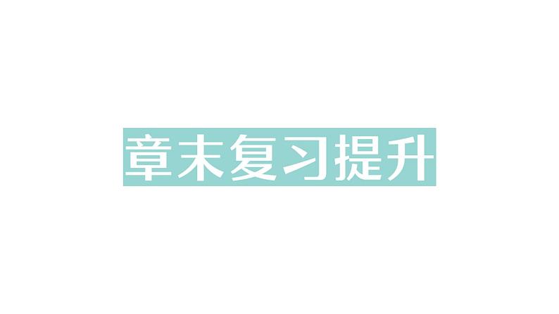 初中物理新北师大版八年级上册第四章 光现象复习提升作业课件2024秋第1页