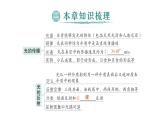 初中物理新北师大版八年级上册第四章 光现象复习提升作业课件2024秋
