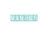 初中物理新北師大版八年級(jí)上冊(cè)第五章 透鏡及其應(yīng)用復(fù)習(xí)提升作業(yè)課件2024秋