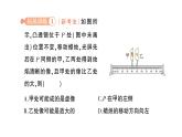 初中物理新北師大版八年級(jí)上冊(cè)第五章專題五 凸透鏡成像的動(dòng)態(tài)變化作業(yè)課件2024秋