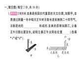 初中物理新沪科版八年级全册第三章 光的世界综合训练课堂作业课件2024秋