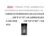 初中物理新沪科版八年级全册第三章 光的世界综合训练课堂作业课件2024秋