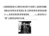 初中物理新沪科版八年级全册第三章 光的世界综合训练课堂作业课件2024秋