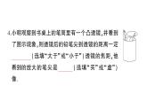 初中物理新滬科版八年級(jí)全冊(cè)第四章 神奇的透鏡綜合訓(xùn)練課堂作業(yè)課件2024秋