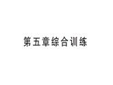 初中物理新滬科版八年級全冊第五章 質(zhì)量與密度綜合訓(xùn)練課堂作業(yè)課件2024秋