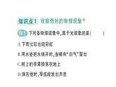 初中物理新教科版八年级上册第一章 第一节 走进实验室作业课件2024秋