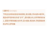 初中物理新教科版八年级上册第一章 第一节 走进实验室作业课件2024秋