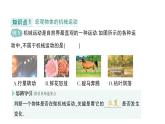初中物理新教科版八年級上冊第二章第一節(jié) 認識運動作業(yè)課件2024秋