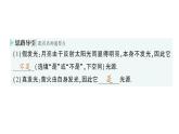 初中物理新教科版八年级上册第四章第一节 光的传播作业课件2024秋