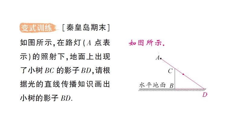 初中物理新教科版八年级上册第四章第一节 光的传播作业课件2024秋第8页