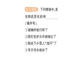 初中物理新教科版八年级上册第五章第一节 物态变化与温度作业课件2024秋