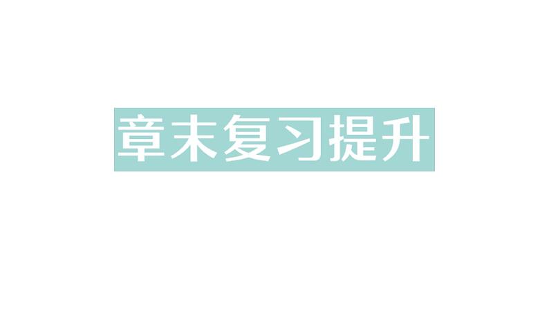 初中物理新教科版八年级上册第六章 质量与密度复习提升作业课件2024秋第1页