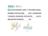 初中物理新教科版八年級上冊第三章第二節(jié) 探究樂音的特性作業(yè)課件2024秋