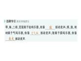 初中物理新教科版八年級上冊第三章第五節(jié) 跨學(xué)科實踐：中國樂器作業(yè)課件2024秋